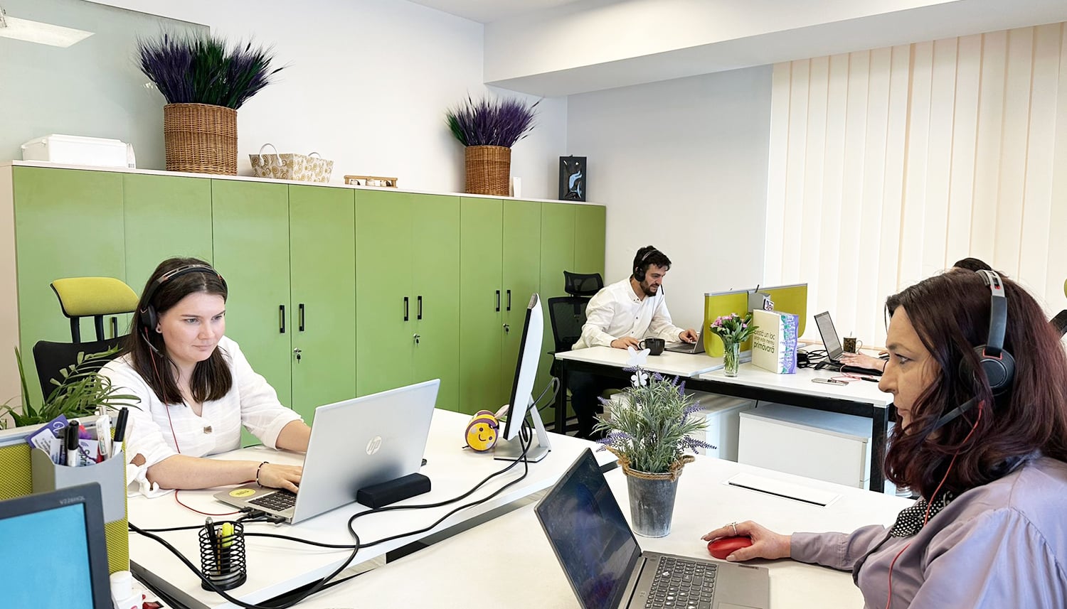 Echipa Spring FARMA la birourile din open-space, cu plante decorative