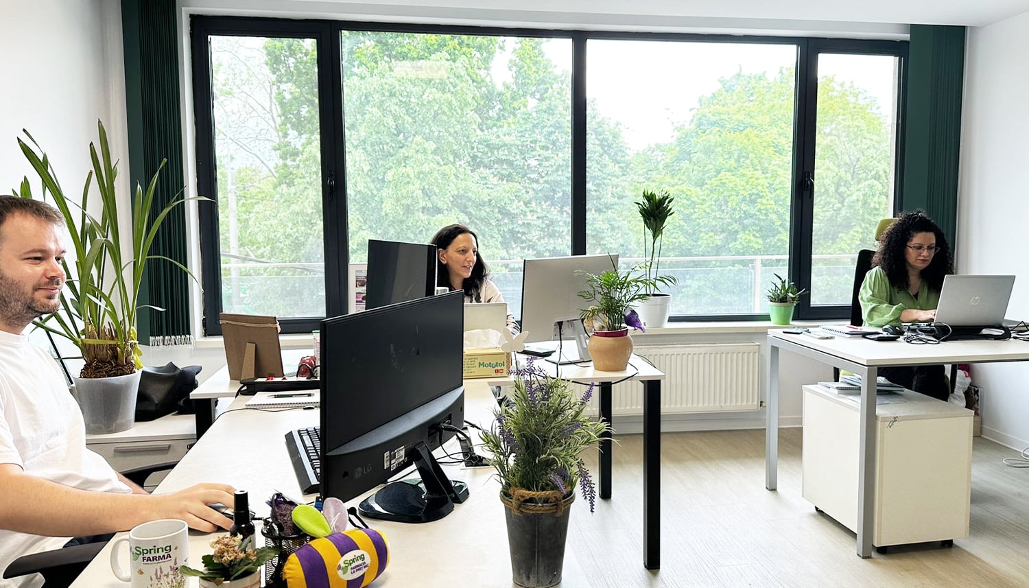 Colegi Spring FARMA la birou, cu vedere spre copaci prin geamurile mari
